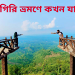 নীলগিরি ভ্রমণে কখন যাবেন