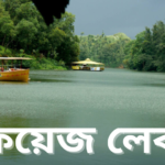 ফয়েজ লেক